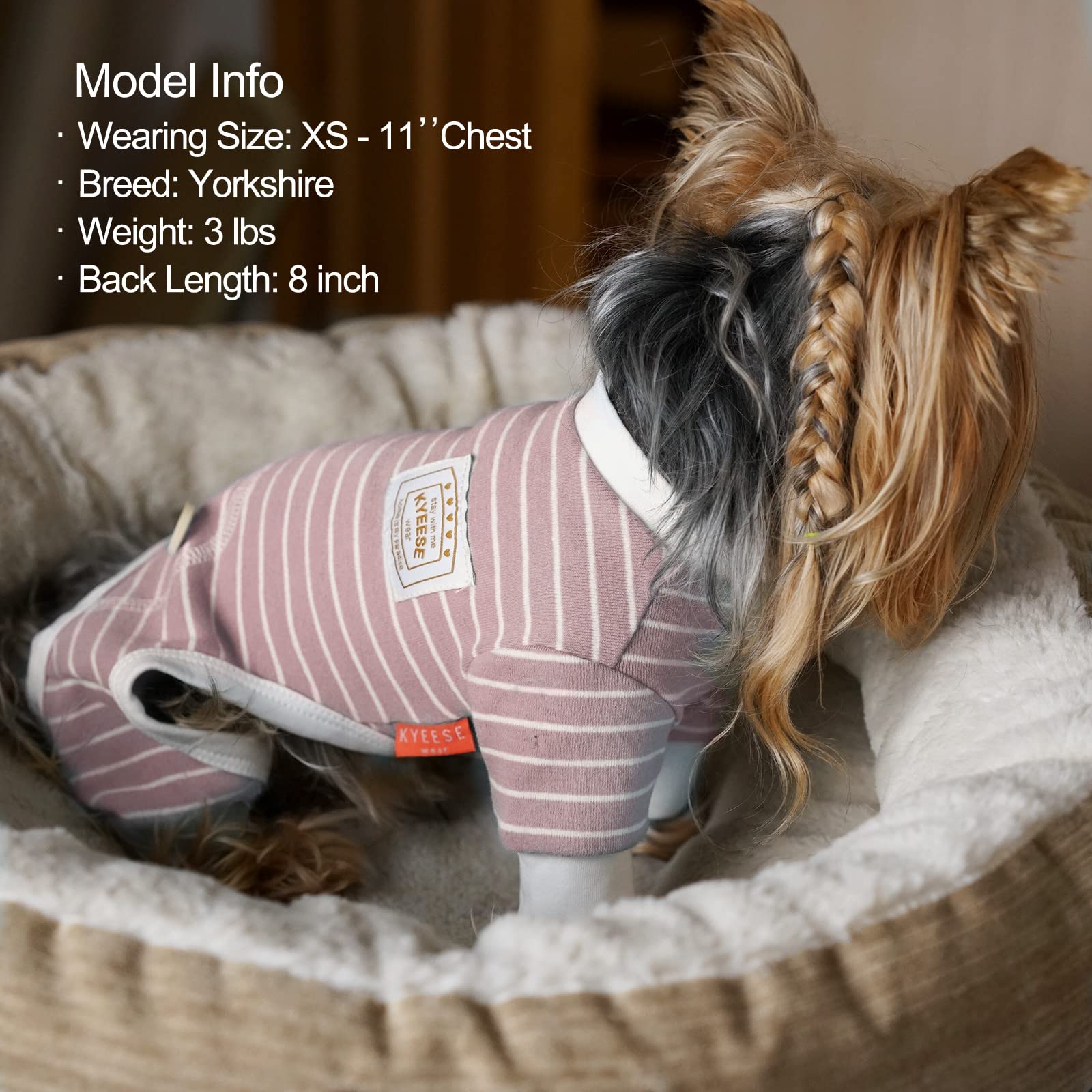 KYEESE pink striped dog pajamas on lounging dog highlighting indoor wear