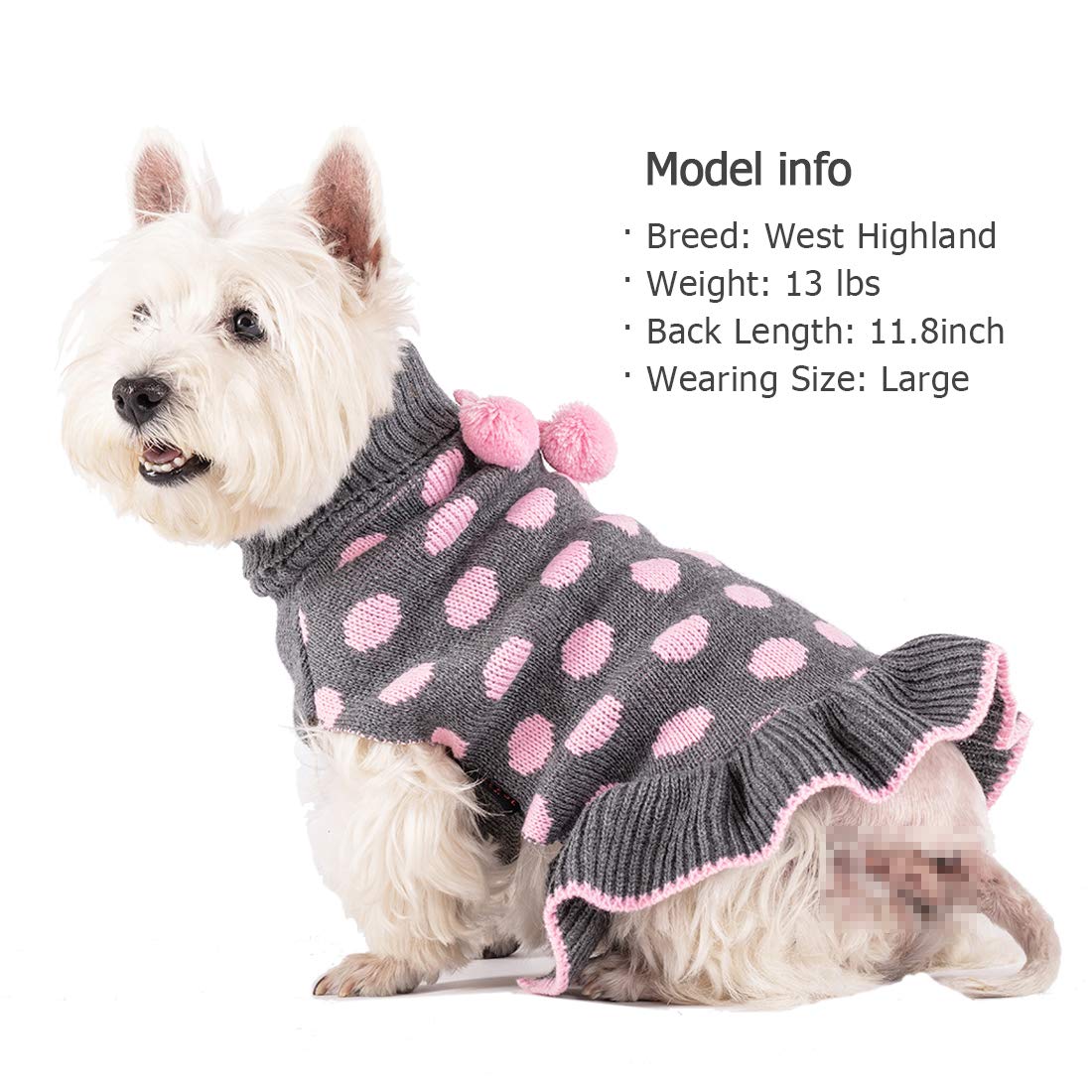 KYEESE winter walks outdoors showcasing warm, comfortable dogwear