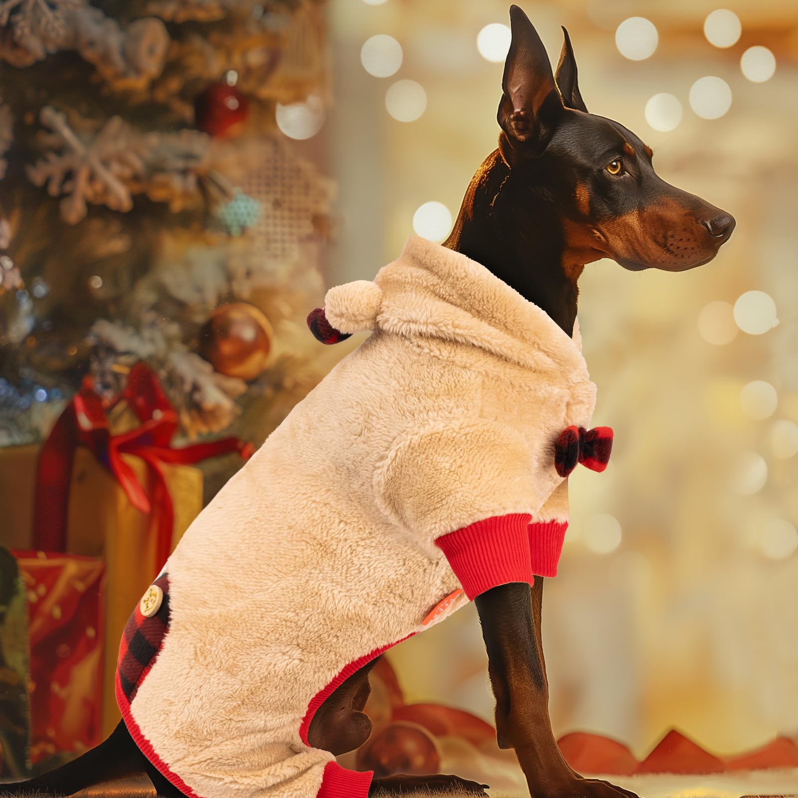 KYEESE winter photoshoot-ready dog outfit helps capture season memories.