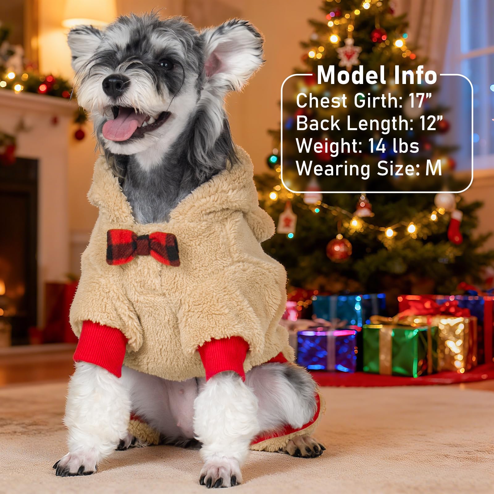KYEESE XX-Large fit image demonstrates comfortable wear for larger breeds.