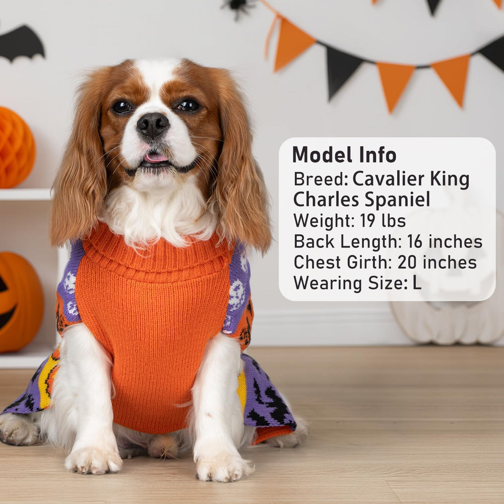 KYEESE festive pumpkin print enhances Halloween photo moments
