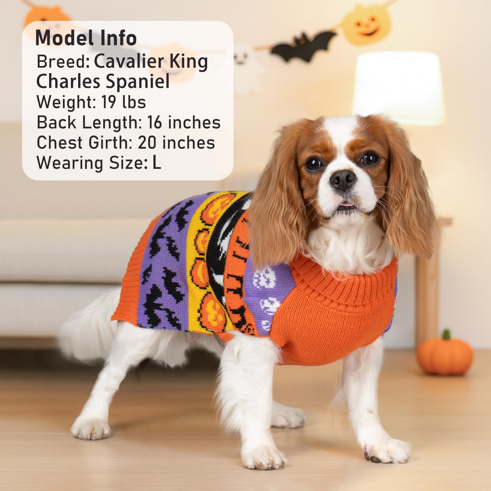 KYEESE turtleneck keeps large dogs warmer on chilly fall days