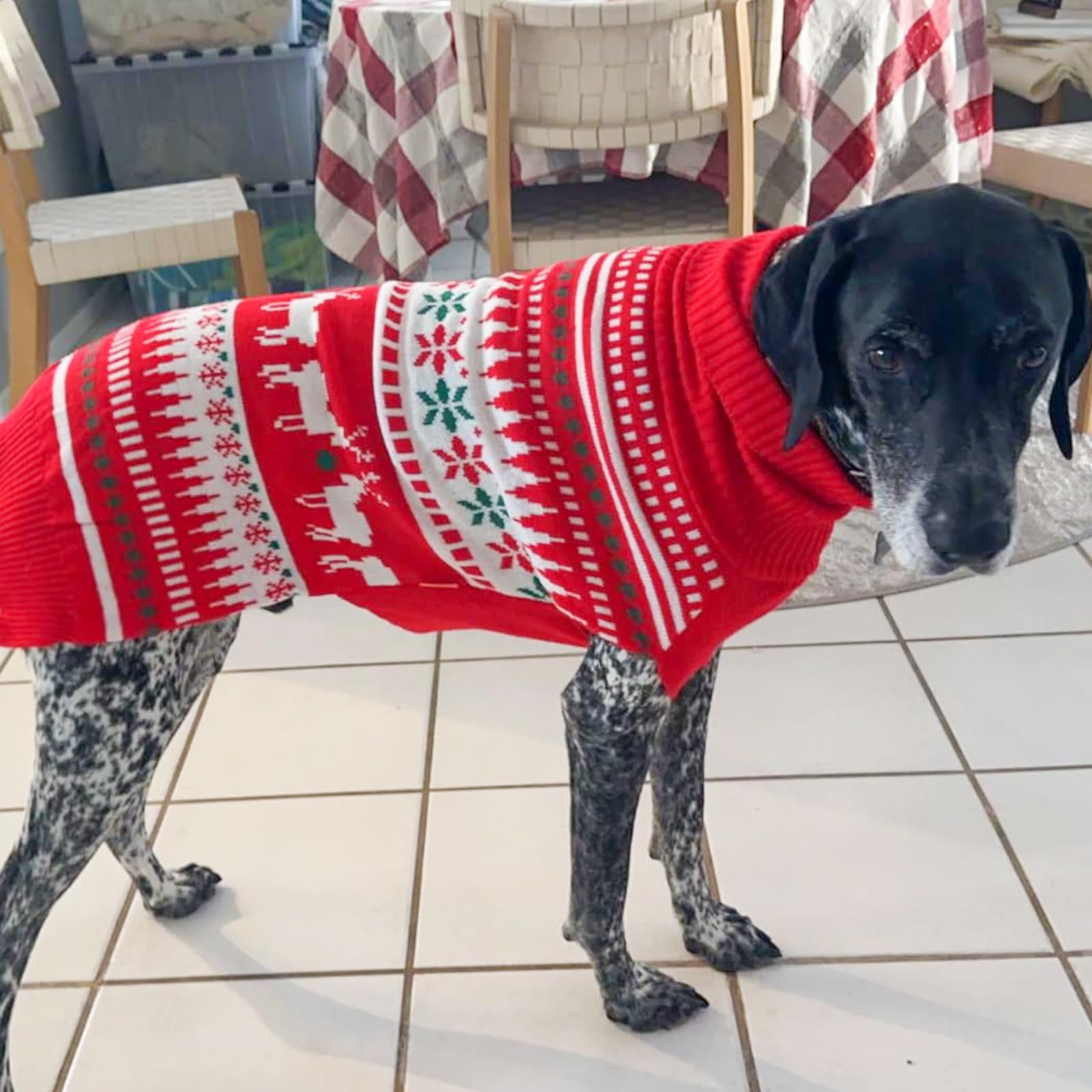 KYEESE large-dog fit knitwear offering roomy comfort.