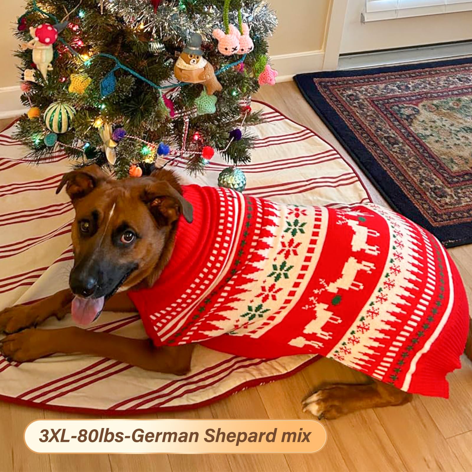 KYEESE winter outing-ready dog sweater for cozy outdoor moments.