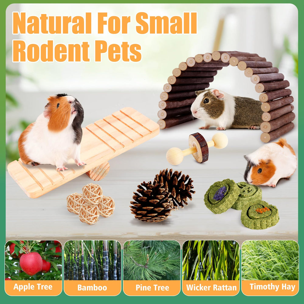 Kyouki hamster toys pine-cones—chewable wood that supports dental health and exploration.