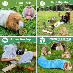 Kyouki hamster toys rattan-balls—soft textures stimulate gnawing and tactile exploration.