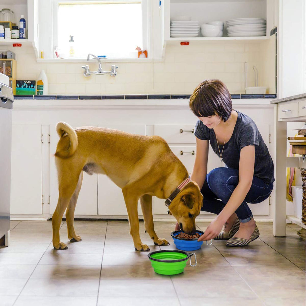 Kytely 7-inch wide bowl provides stable feeding during travel.