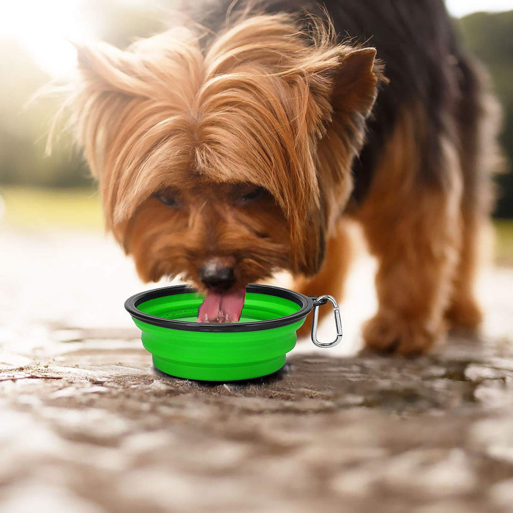 Kytely easy-clean bowls for wipe-down or rinse after adventures.