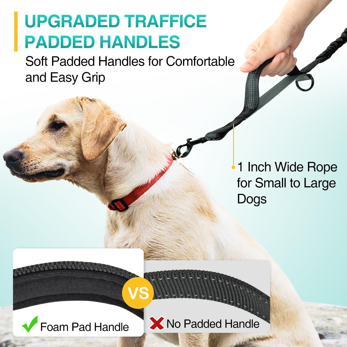 Kytely hands-free dog leash shock-absorption bungee closeup conveys smoother runs with strong pullers.