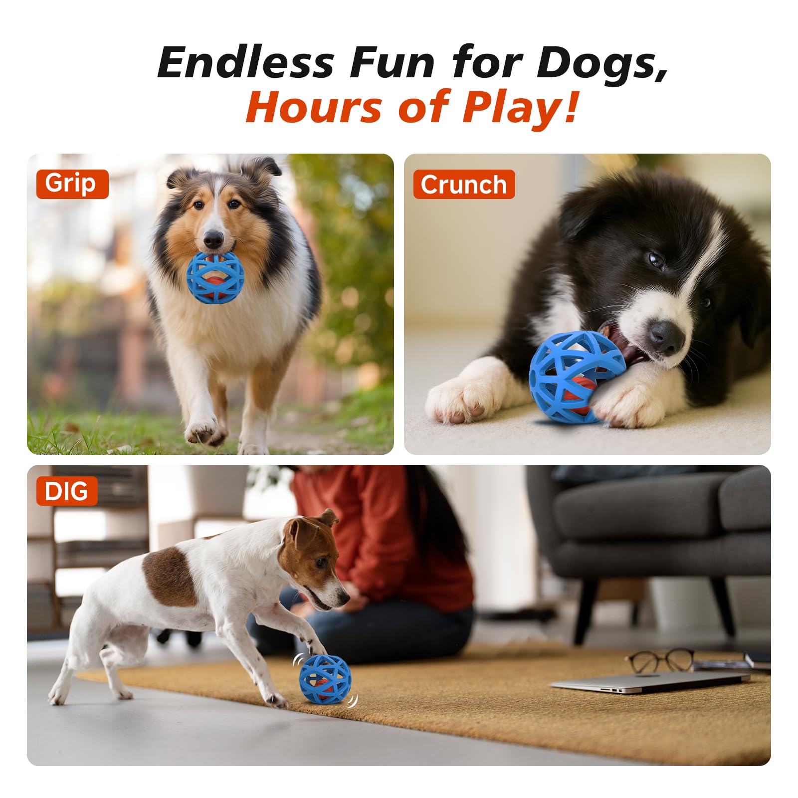 Kytujoy Ball-in-Ball Toy designed for indoor play and crate time enrichment.