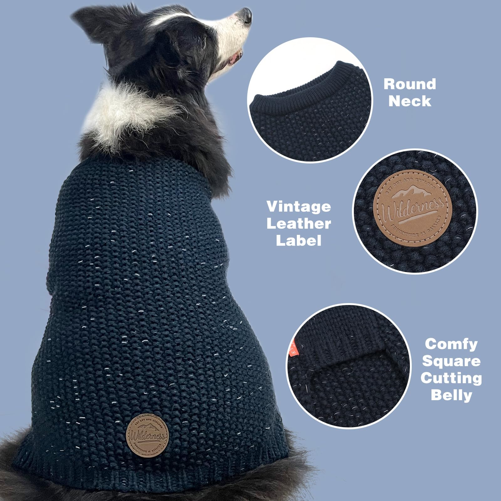 KYEESE navy dog sweater on city steps signals versatile winter wear.