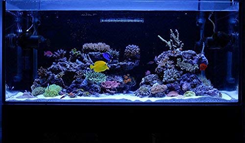 KZKR LED Aquarium Hood power supply included for simple, reliable setup