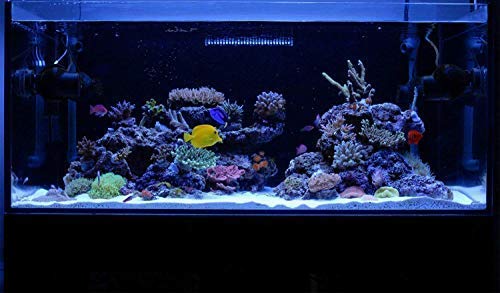 KZKR LED aquarium light folded design reduces transit height.