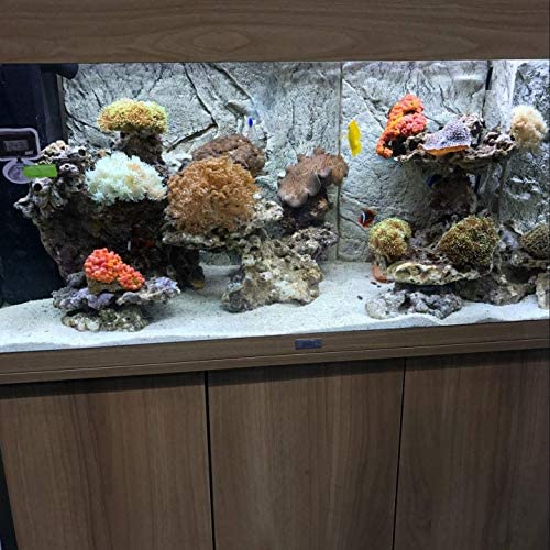KZKR LED aquarium light provides even illumination for freshwater and marine setups.