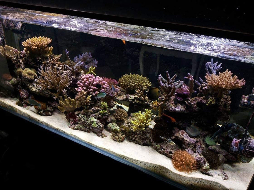 KZKR upgraded aquarium light package includes brackets and power supply for quick setup