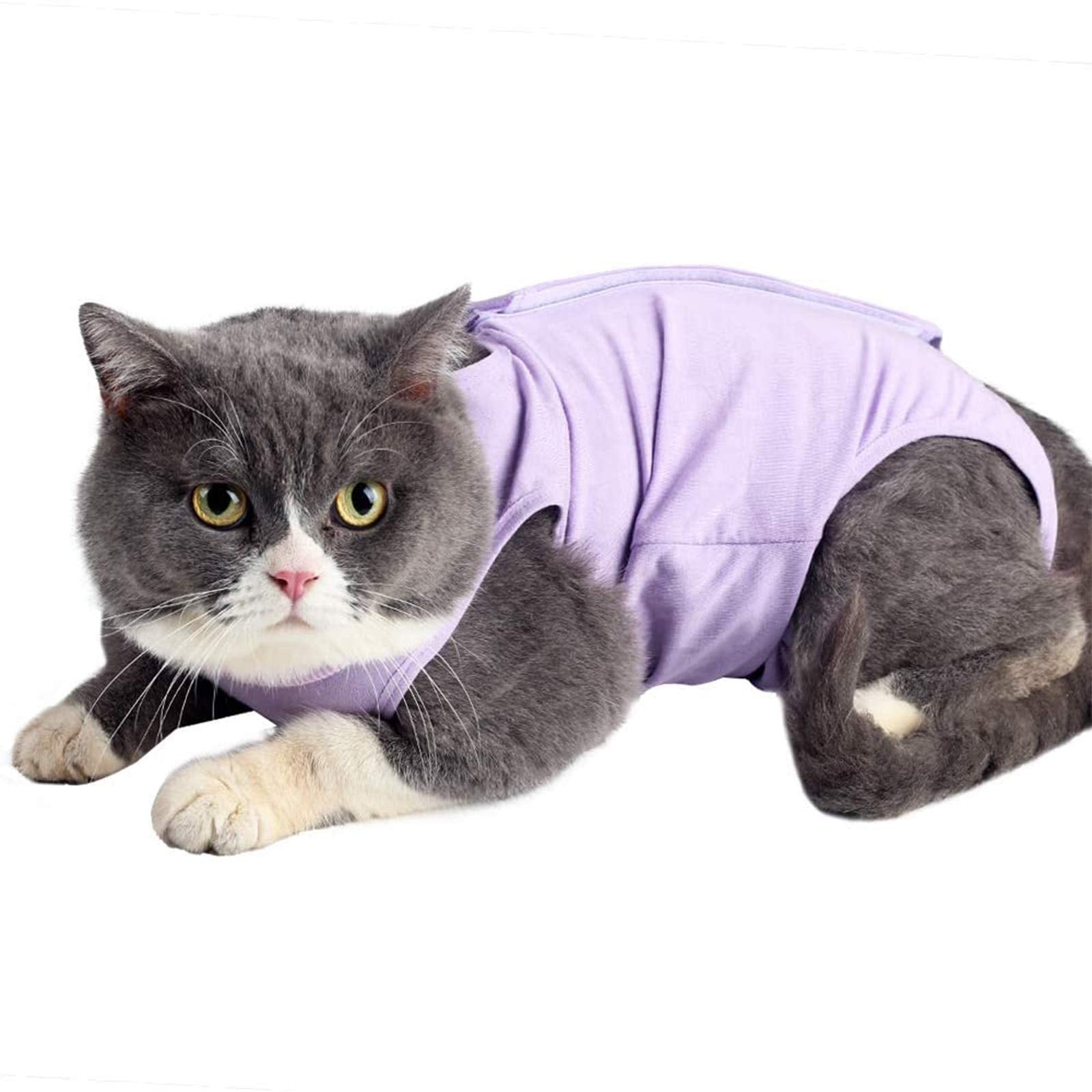 kzrfojy cat surgery recovery suit front view shows post-op protection
