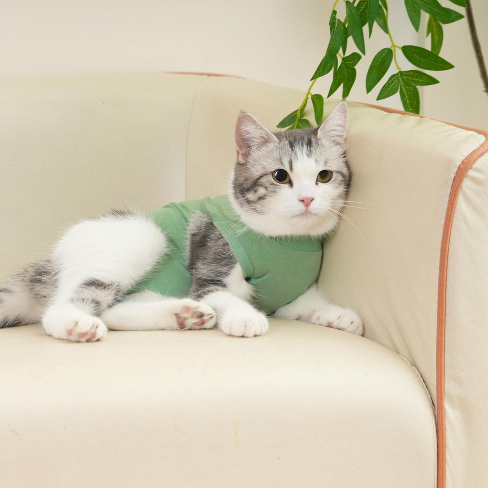 kzrfojy recomendado para gatos tras cirugía de esterilización.