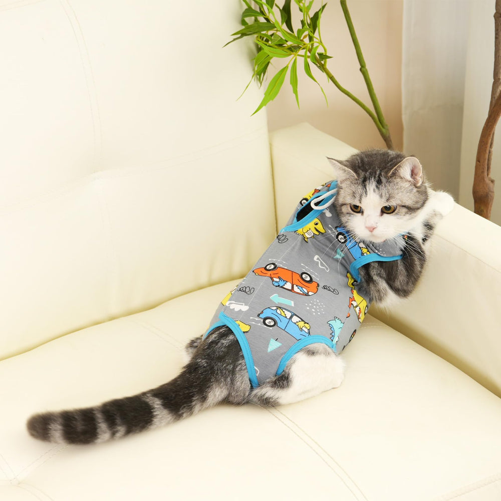 kzrfojy: gato usando el traje de recuperación para ir al arenero