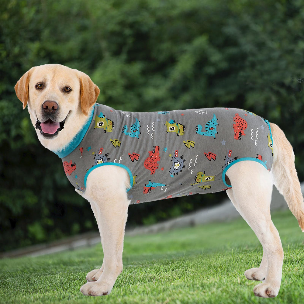kzrfojy Recovery suit after-spay neuter use-case demonstrates wound protection in action.