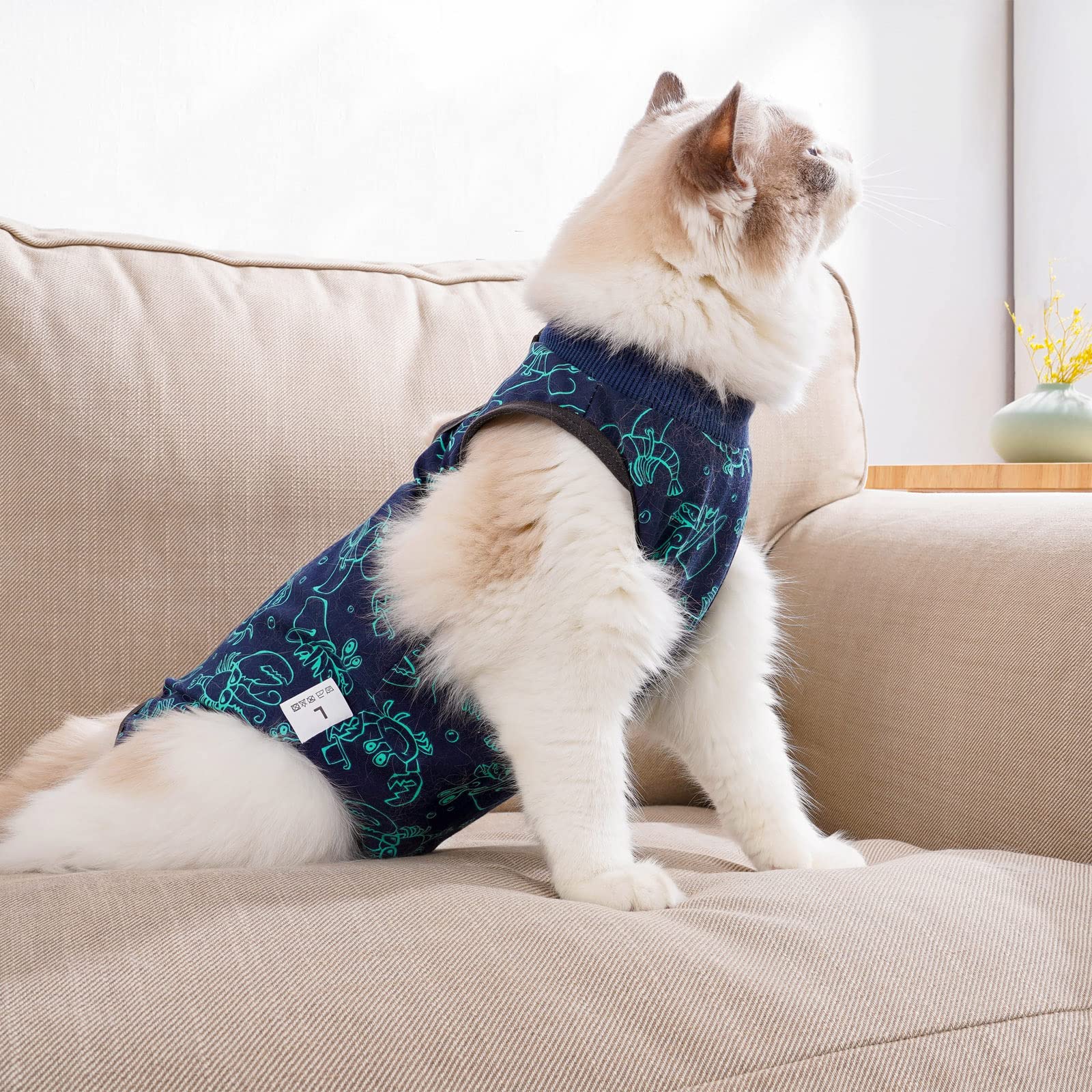 kzrfojy-traje-recuperacion-gato-uso-diario permite comer, beber y jugar con libertad.