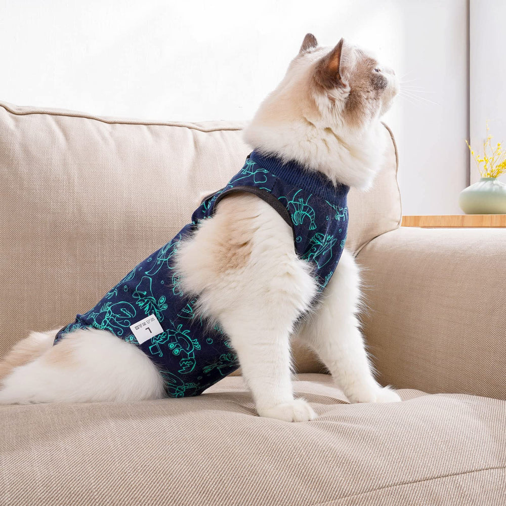kzrfojy-traje-recuperacion-gato-uso-diario permite comer, beber y jugar con libertad.