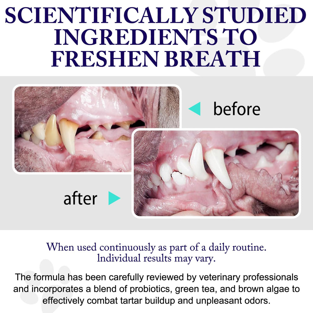 KZUO dog dental powder pour demonstrates convenient dosing for daily tartar control