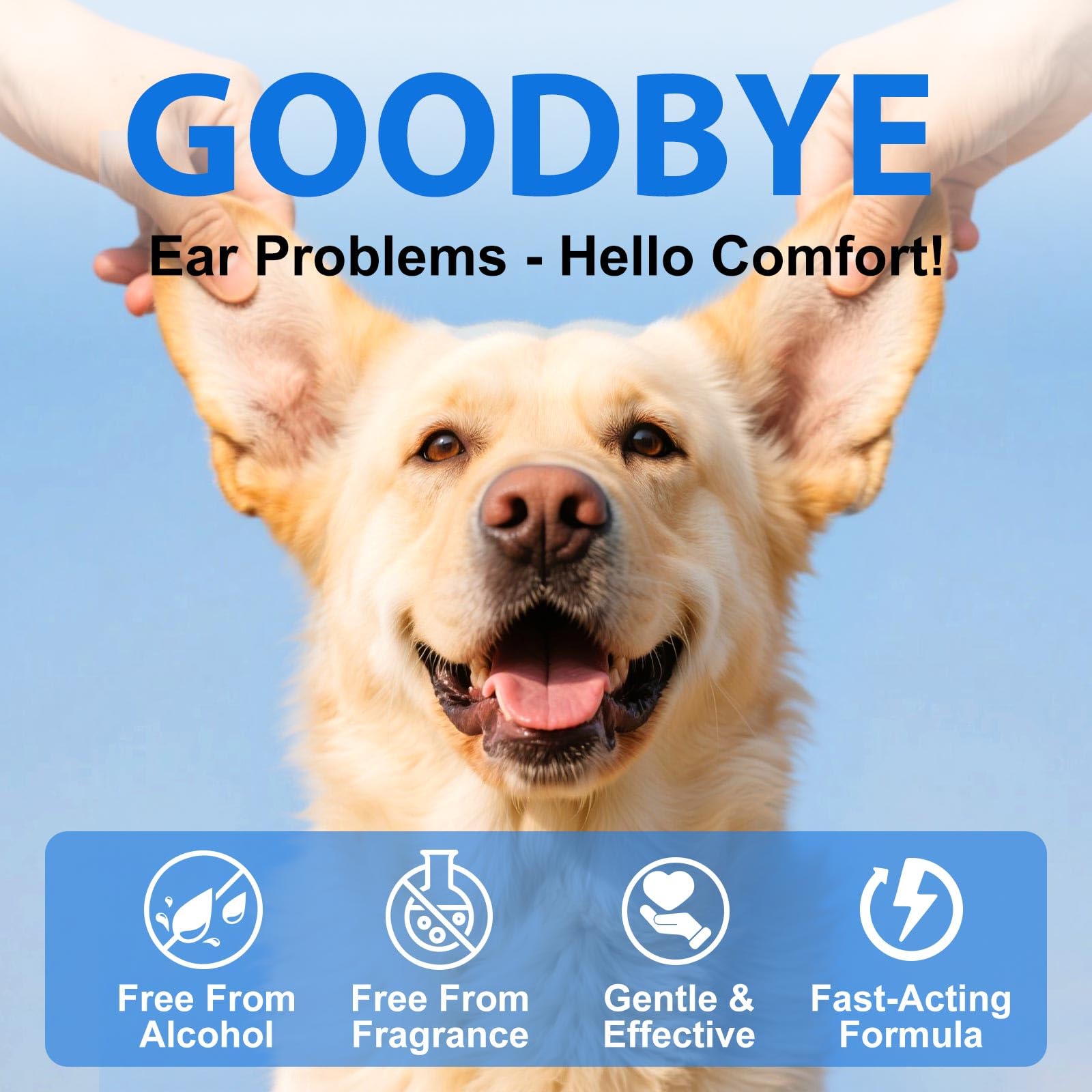 KZUO dog ear routine image suggests regular use for ongoing comfort.