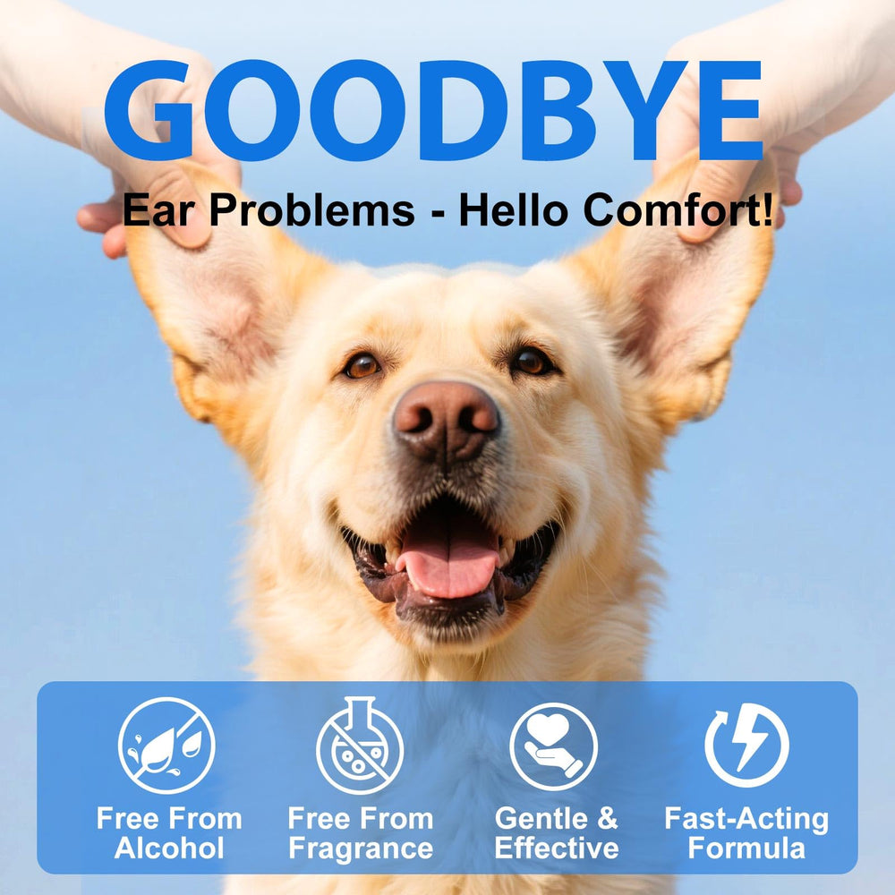 KZUO dog ear routine image suggests regular use for ongoing comfort.