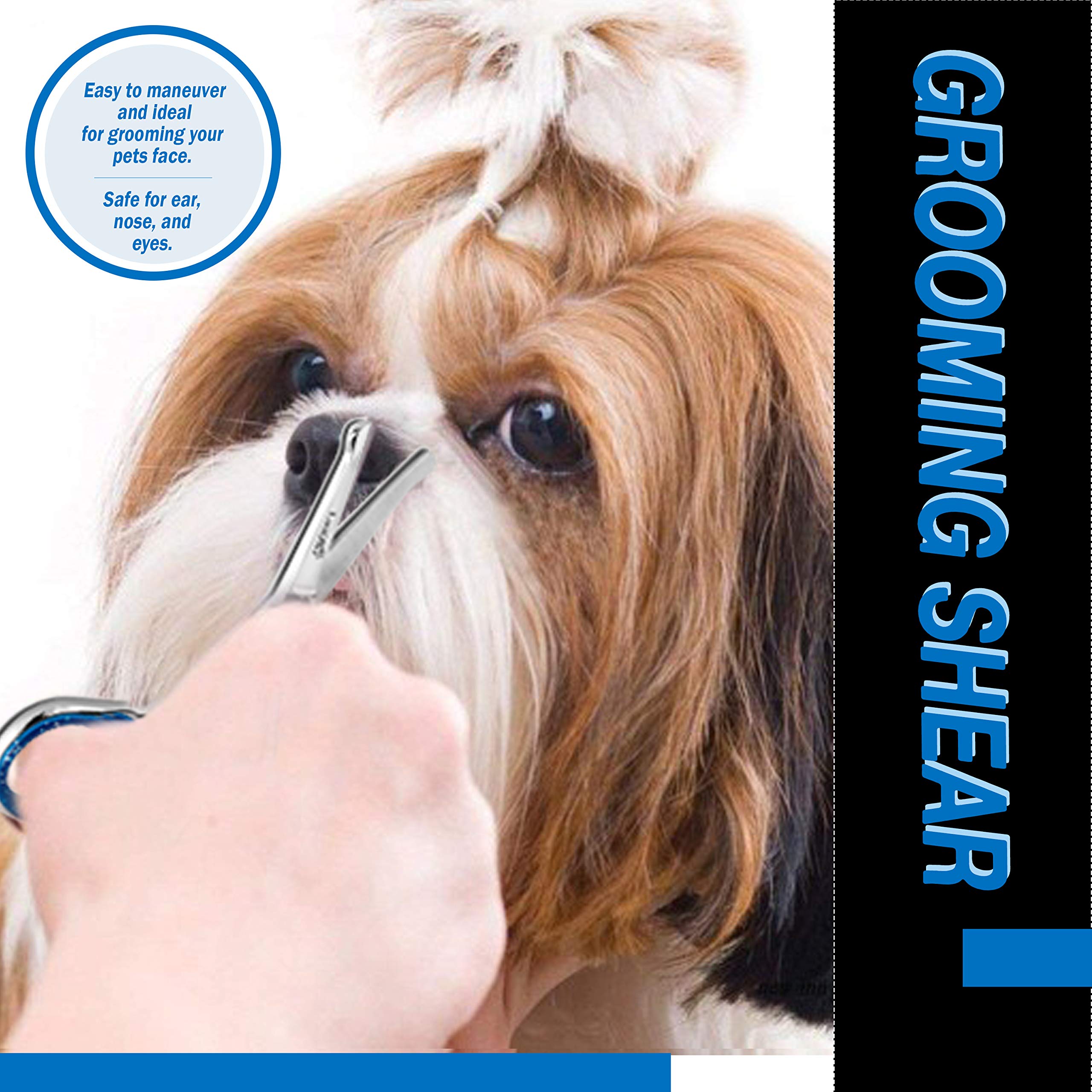 Laazar Straight Dog Grooming Scissors attached finger rest supports comfortable handling