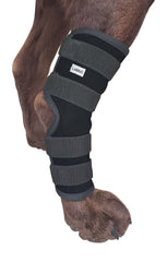 Labra dog rear leg hock wrap provides stable support during walks and play.