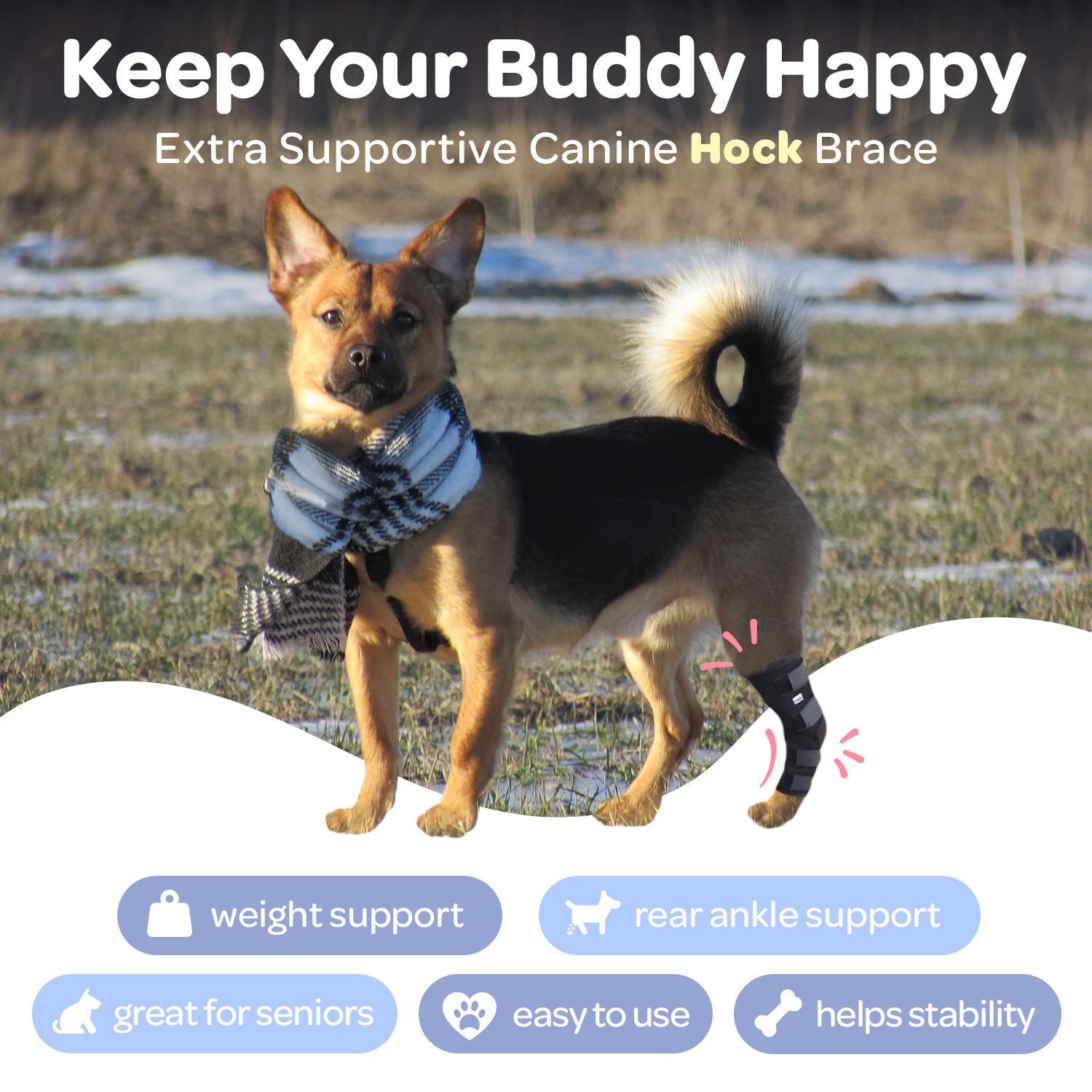 Labra dog recovery brace application supports wound protection during healing.