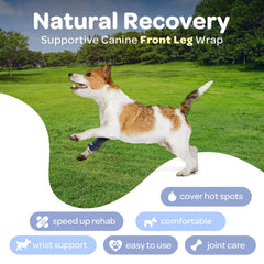 Labra dog wrist brace on leg demonstrating easy wrap and secure design