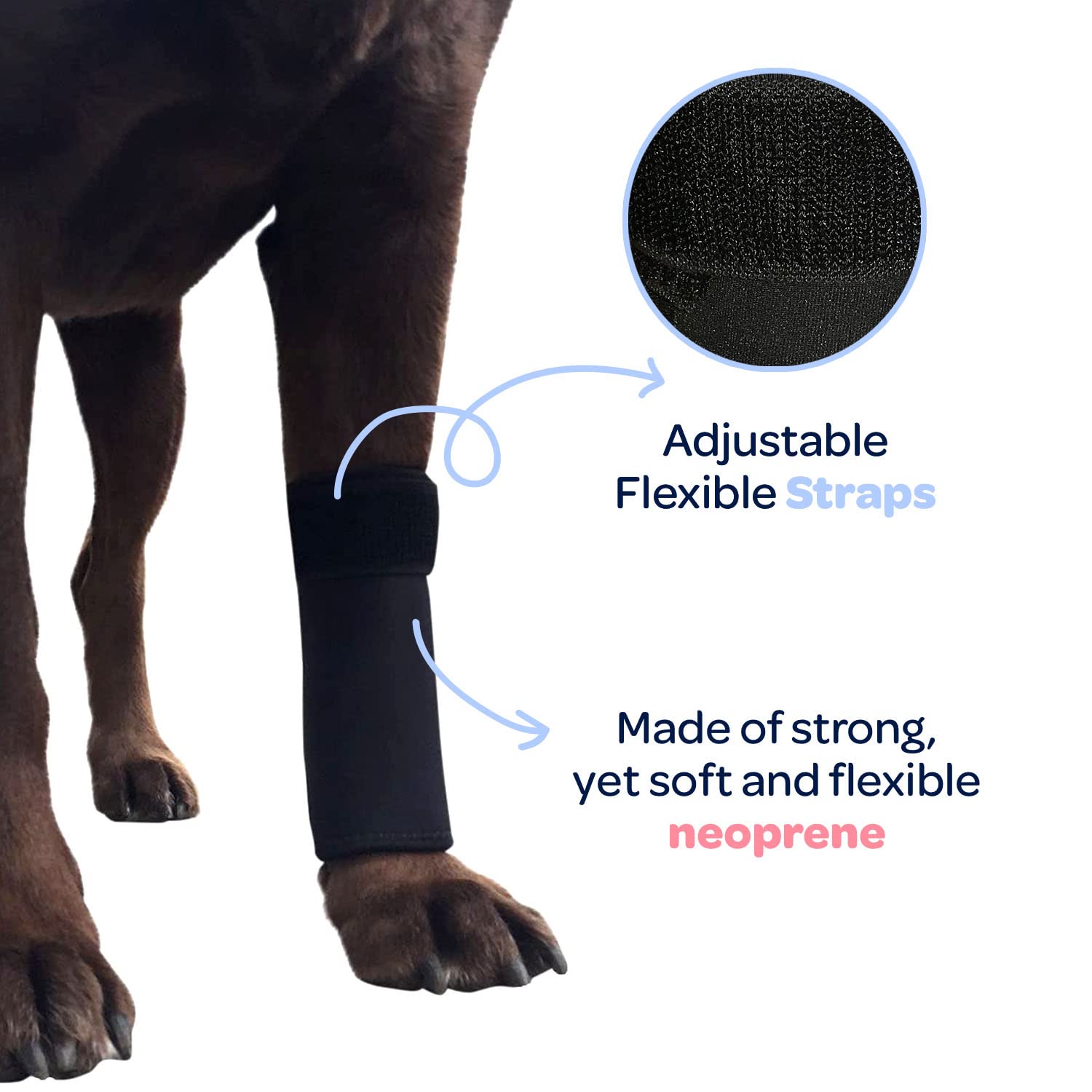 Labra leg wrap on dog during walk signaling joint support.