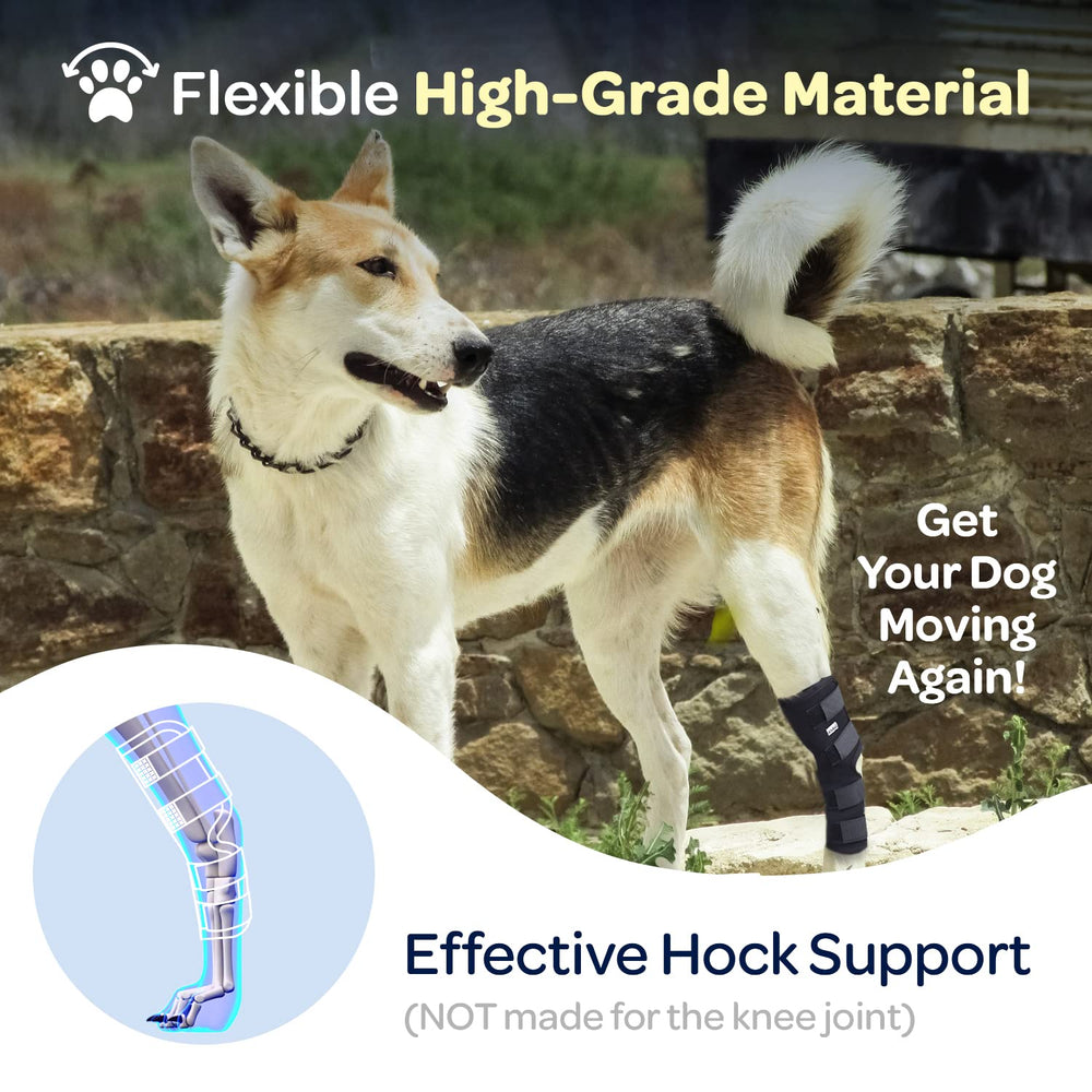 Labra protects hot spots and lick granulomas with targeted wrap.