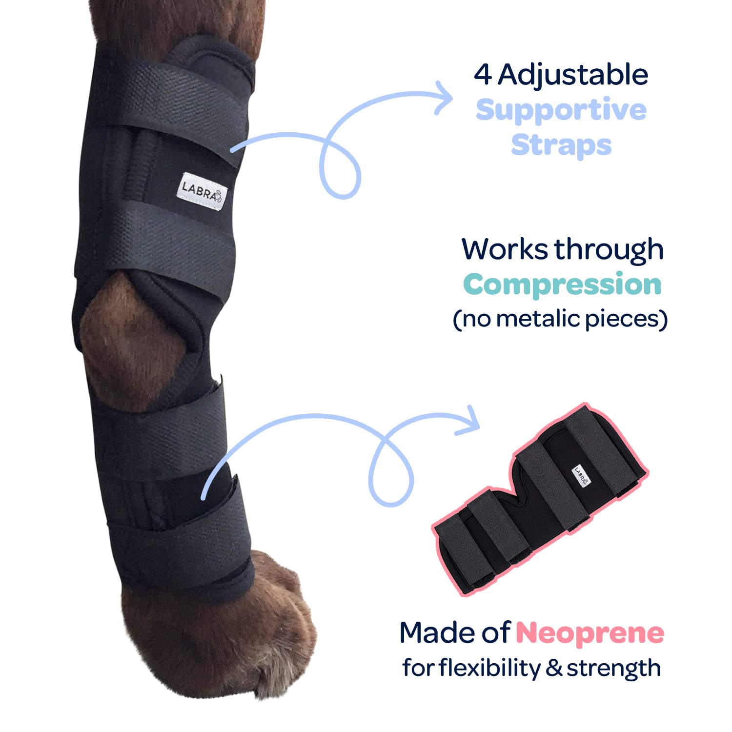 Labra senior dog hock support helps mobility and comfort.