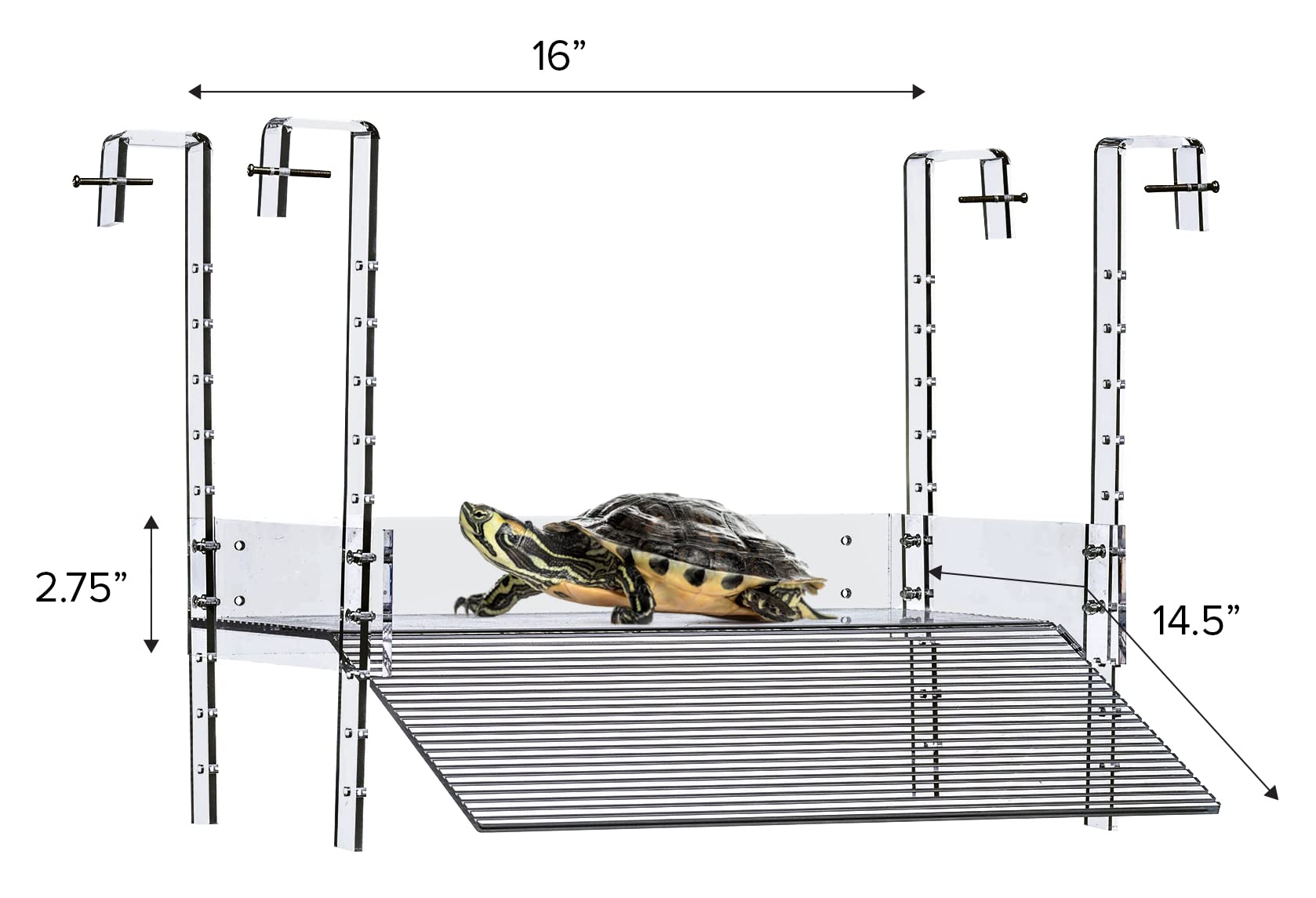 LaBrinx Designs clear acrylic turtle ramp closeup highlighting durable, easy-to-clean surface.