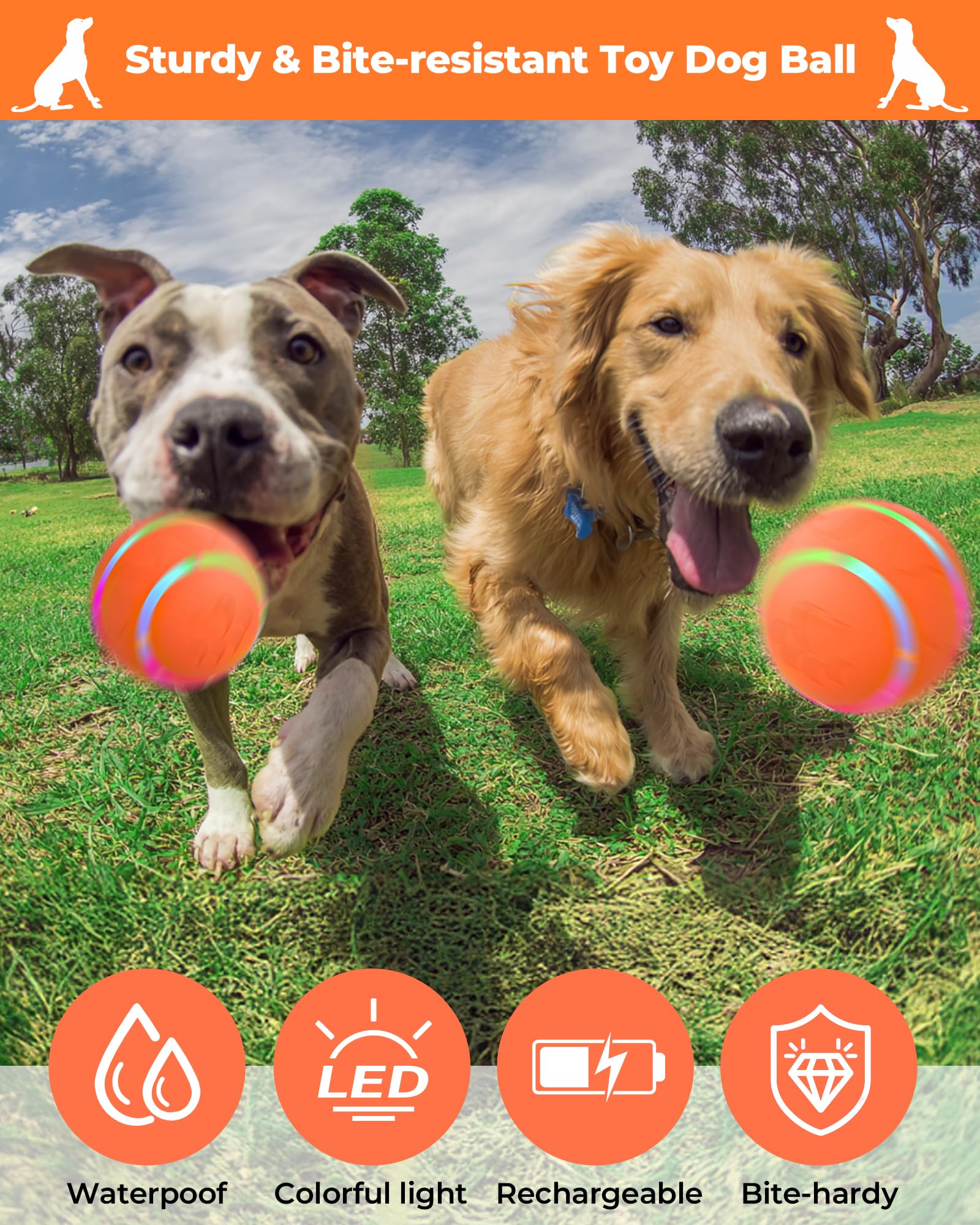 LADFAR interactive rolling dog toy USB charging cable for easy power.