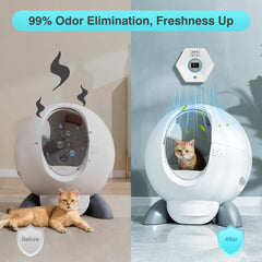 Ladnut ozone ion technology panel illustrating dual action odor elimination