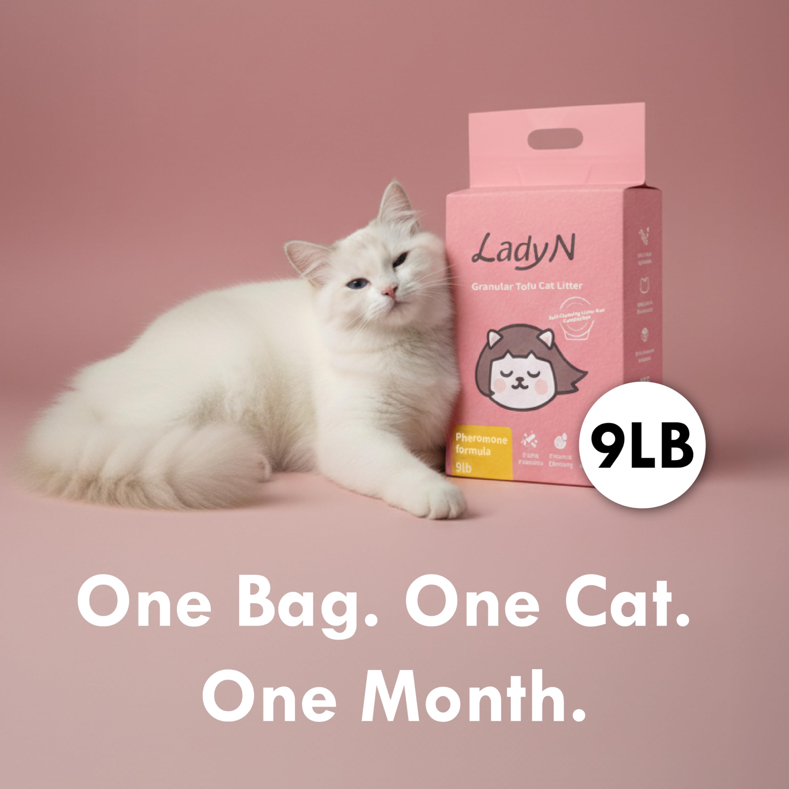 Multi-cat harmony supported by Lady N Cat Attract Tofu Litter sharing a box