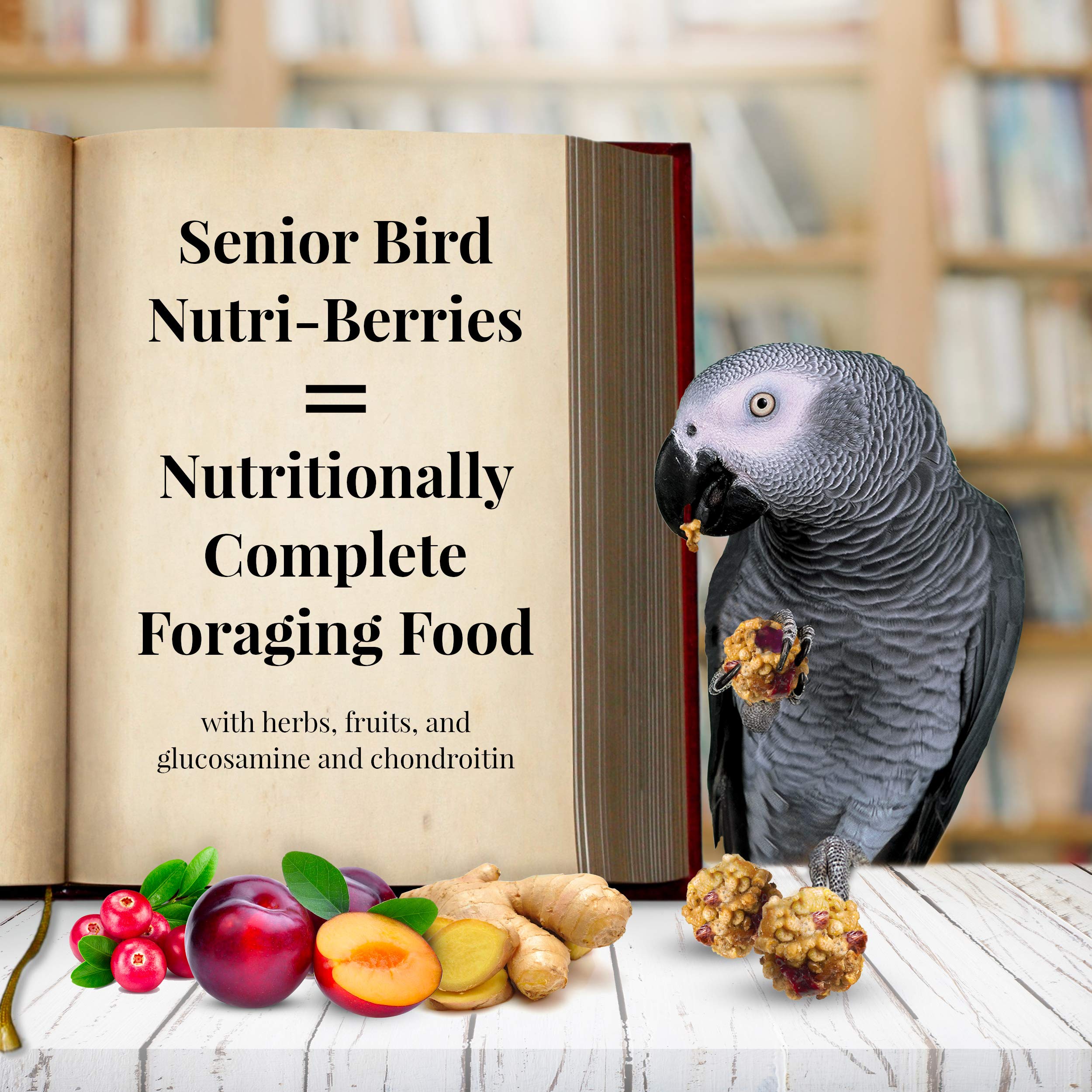 LAFEBER'S Senior Bird Nutri-Berries with dandelion for a nutrient-rich blend.