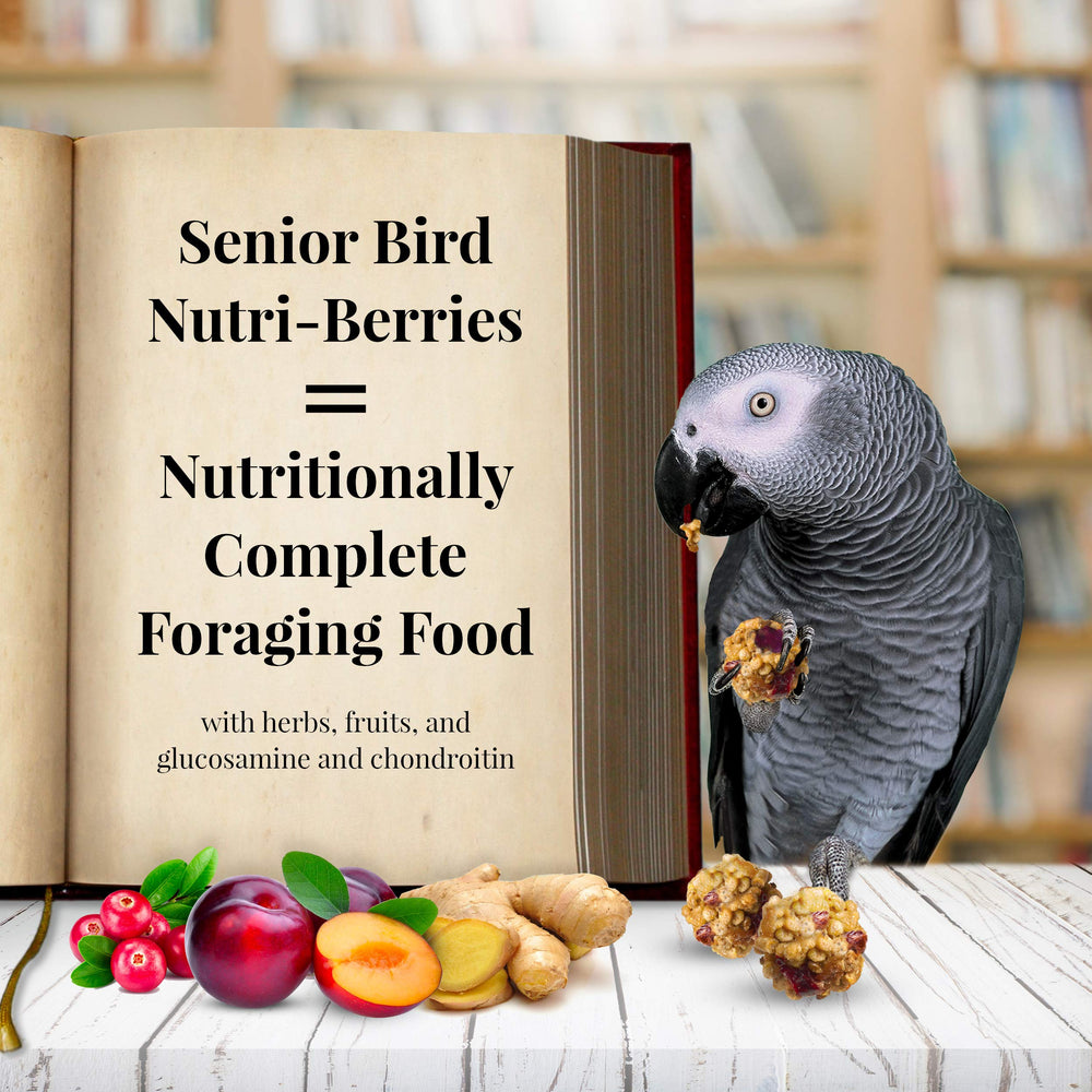 LAFEBER'S Senior Bird Nutri-Berries with dandelion for a nutrient-rich blend.