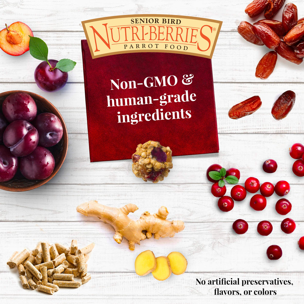 LAFEBER'S Senior Bird Nutri-Berries fruit blend adds fiber and antioxidants.