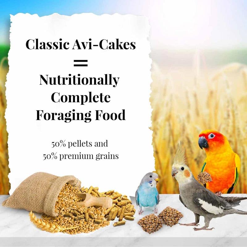LAFEBER'S Classic Avi-Cakes close-up texture shows wholesome crumbs for engaging treat-time.