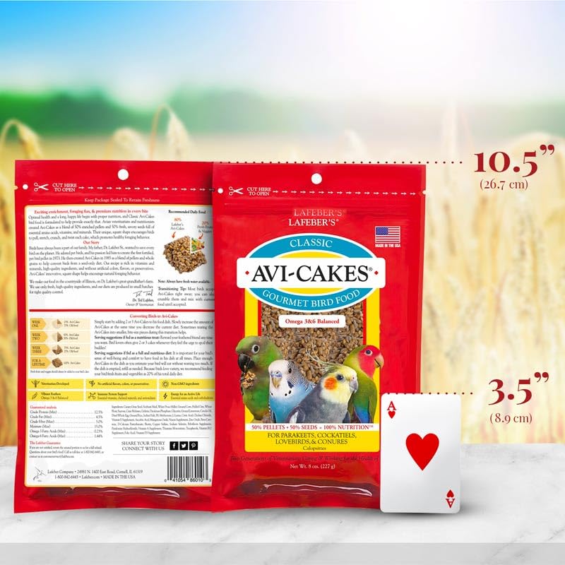 LAFEBER'S Classic Avi-Cakes two-pack size for home feeding.