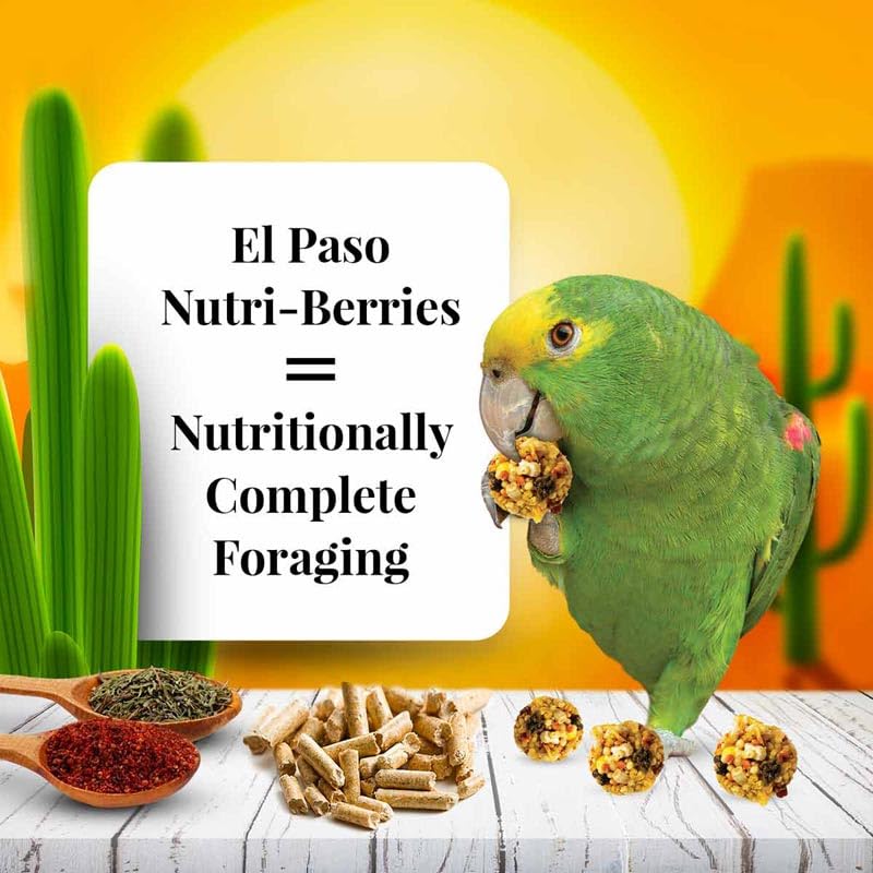 LAFEBER'S El Paso Nutri-Berries beak-exercise shaped for enrichment.