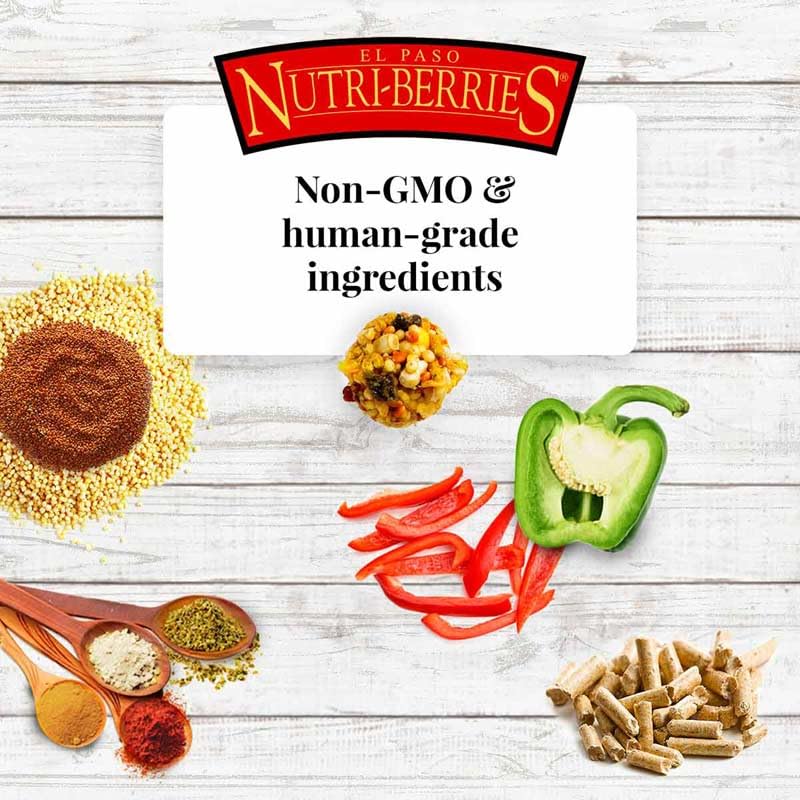 LAFEBER'S El Paso Nutri-Berries non-GMO, human-grade ingredients highlighted.