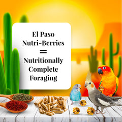 LAFEBER'S El Paso Nutri-Berries packaged in 2x10oz tubs for convenient feeding.