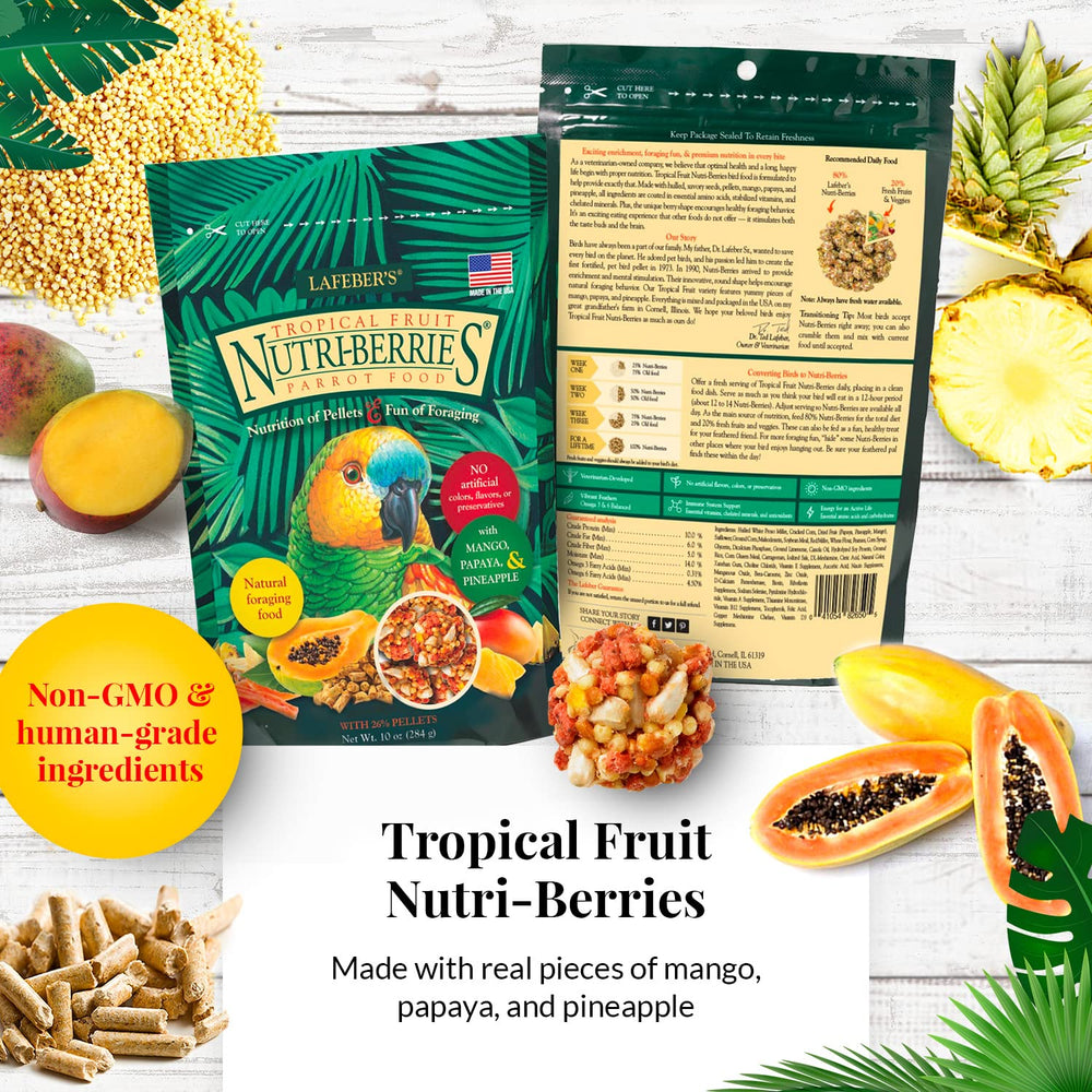 LAFEBER'S Tropical Fruit Nutri-Berries bag close-up with real fruit pieces.