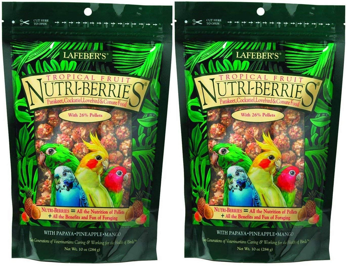Lafeber's Gourmet Tropical Nutri-Berries two-pack promotes balanced diet for parrots