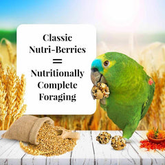 LAFEBER'S Nutri-Berries antioxidants and omega-3-6 balance for skin